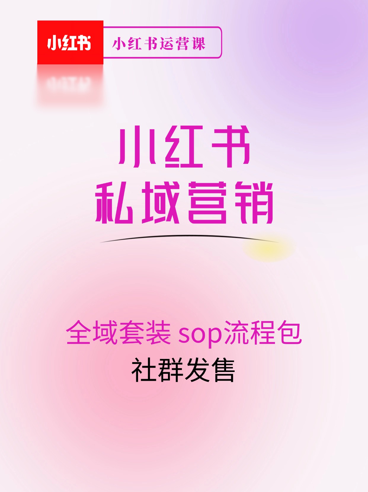 私域 发售 plus6.0【5月份线下课录音】/全域套装 sop流程包，社群发售