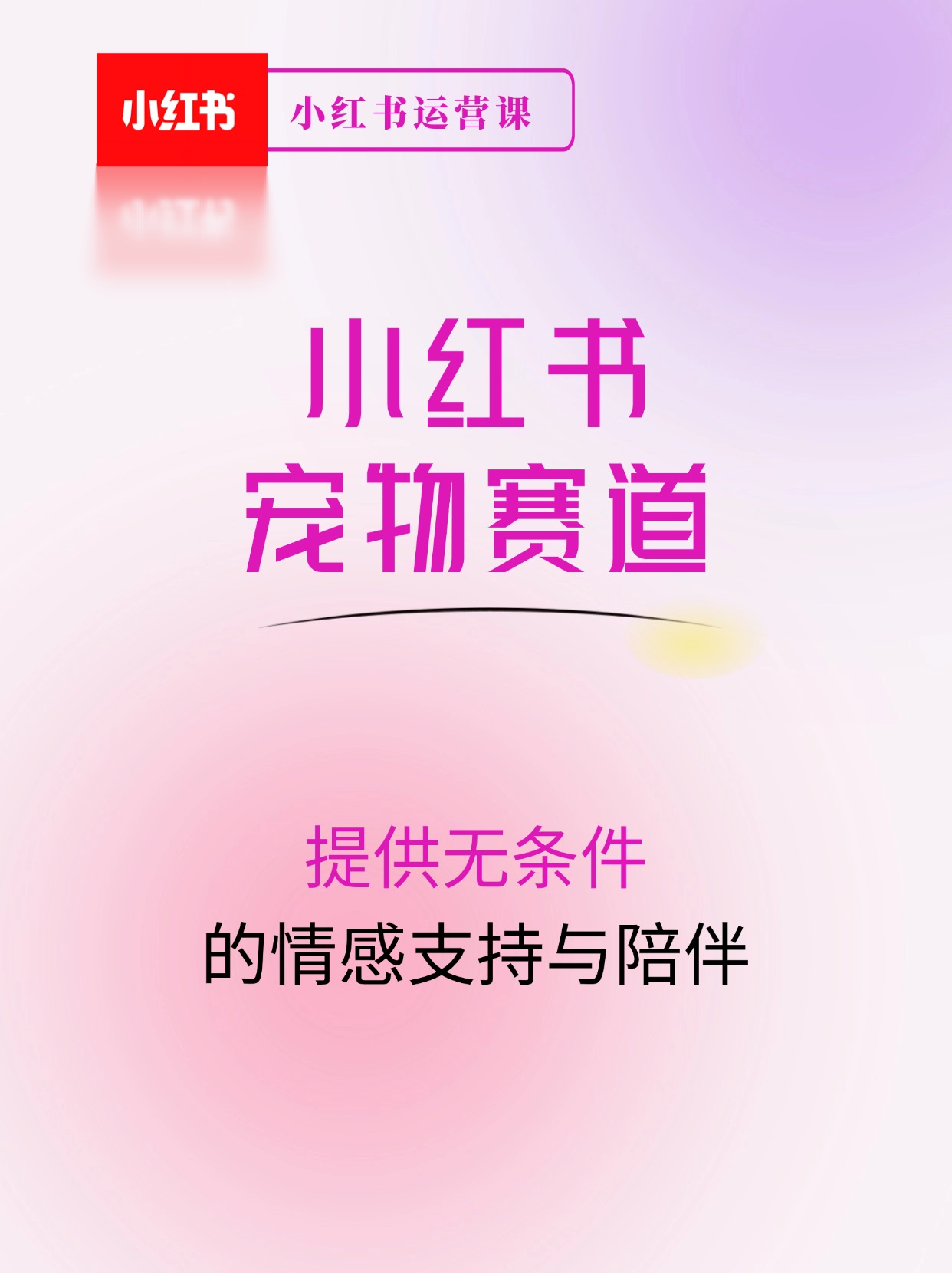 6月最新小红书宠物赛道，10秒钟一单，日入2000+