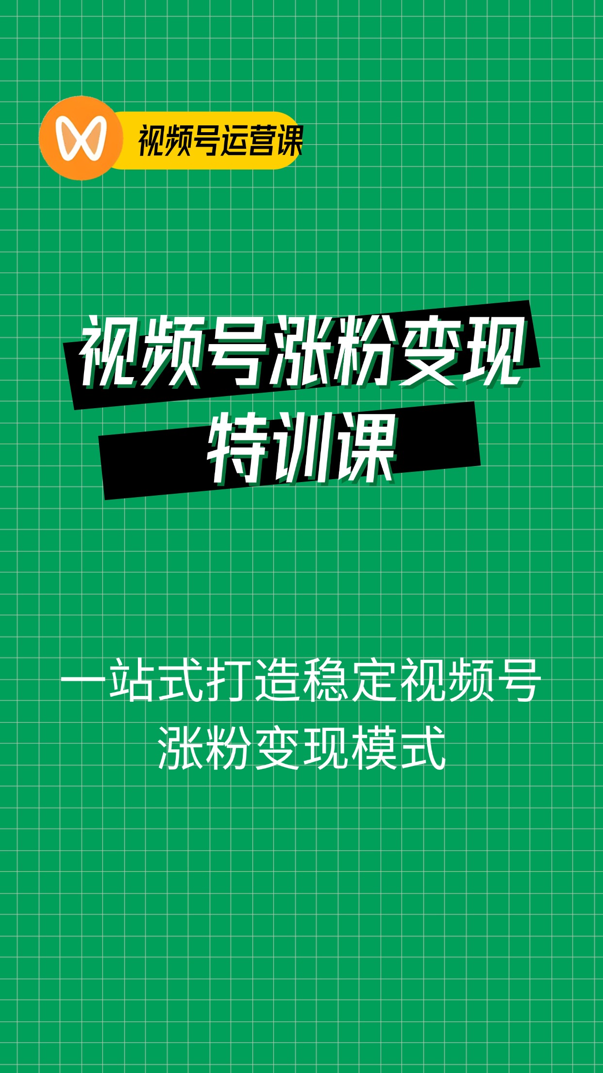 2024视频号-涨粉变现特训营：一站式打造稳定视频号涨粉变现模式