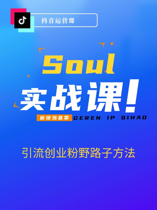Soul引流创业粉野路子方法，交友平台均可引日均300+